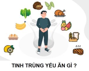 Tinh trùng yếu ăn gì