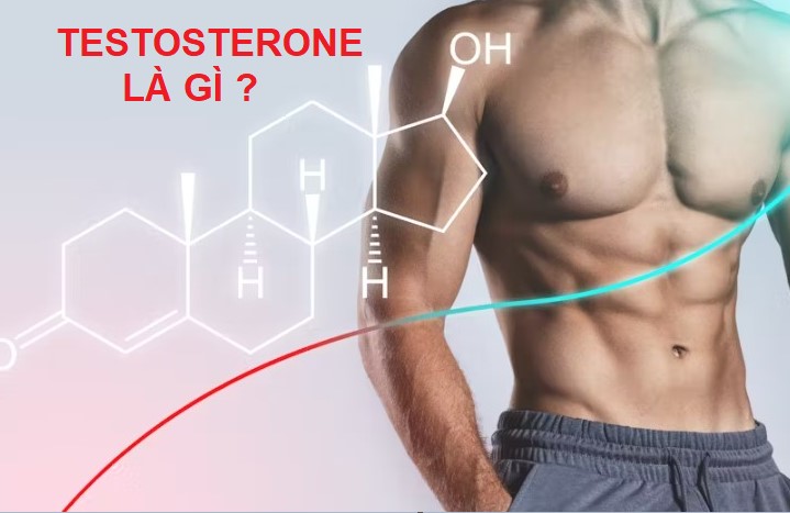 Hormone testosterone là gì?