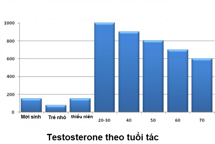 Testosterone theo độ tuổi