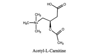 Acetyl L-Carnitine có tác dụng g