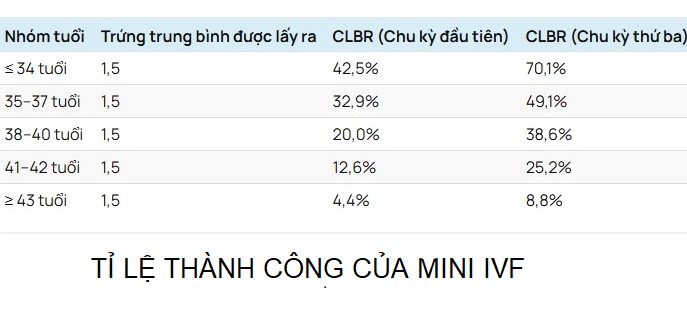 Tỷ lệ thành công của mini-IVF là bao nhiêu?